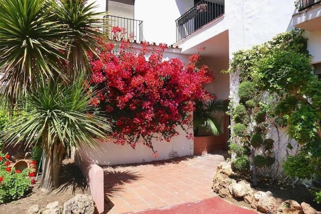 Caprichoso Apartamento En El Corazon De Puerto Banus Marbella Buitenkant foto